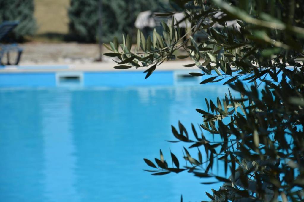 Apartments Agata Nova Vas  Εξωτερικό φωτογραφία