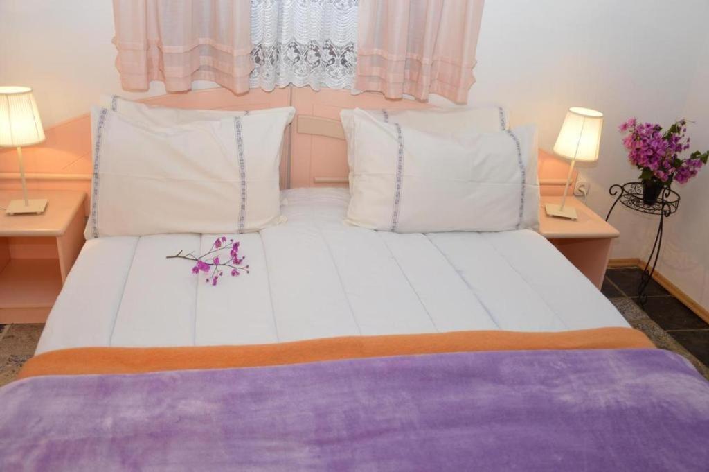 Apartments Agata Nova Vas  Εξωτερικό φωτογραφία
